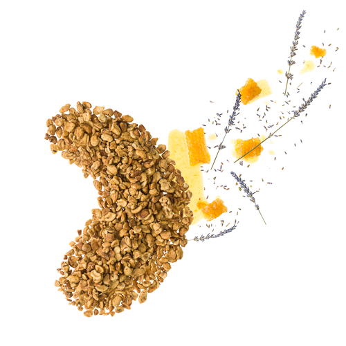 Honing Lavendel (400g)